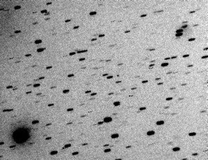 Image of asteroid 2010 AL30 taken at 2010 Jan 12 at 15h 46m UTC. The asteroid is the dot near the center of the image. Image is a stack of 5 x 4-sec exposures using a 35cm SCT. CCD was binned to give a 2" pixel size to give greater sensitivity, and to be consistent with asteroid motion - which was 0.56"/sec at the image time. Image courtesy D. Herald